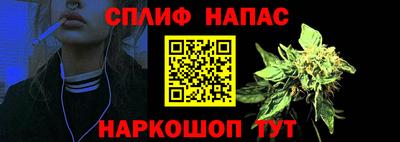 крисы Краснознаменск