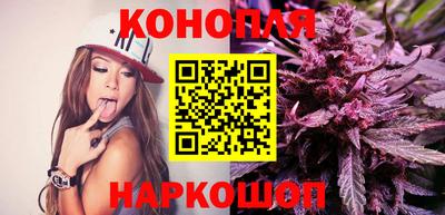 крисы Краснознаменск