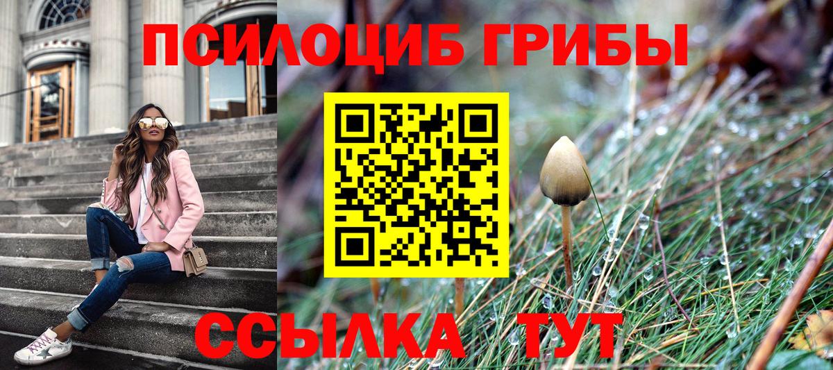 Псилоцибиновые грибы Psilocybine cubensis Киров