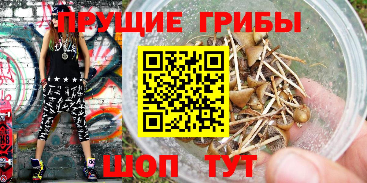 Псилоцибиновые грибы Cubensis  Вход с VPN  Псилоцибиновые грибы мицелий  Киров 